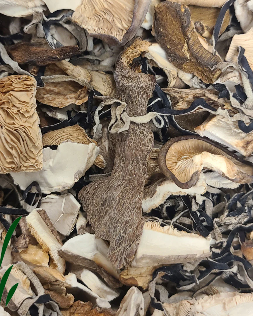 Mikuni Wild Harvest, Dried Alpine Mix Mushrooms, 20 g. - Image 3