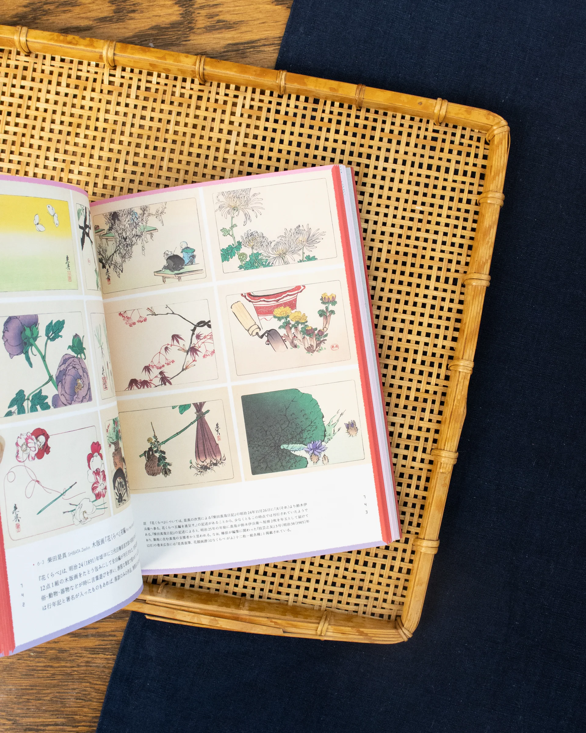 ENG/JP: Haibara Art and Design - Image 4