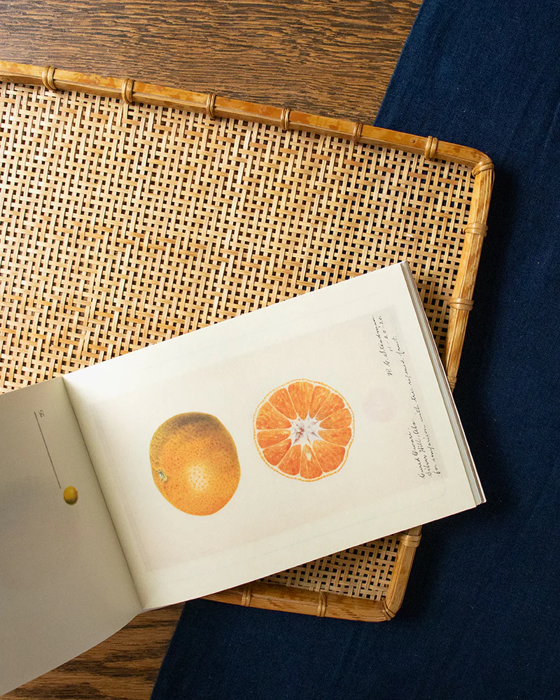 ENG/JPN: 100 Writing and Crafting Papers, Fruit - Image 4