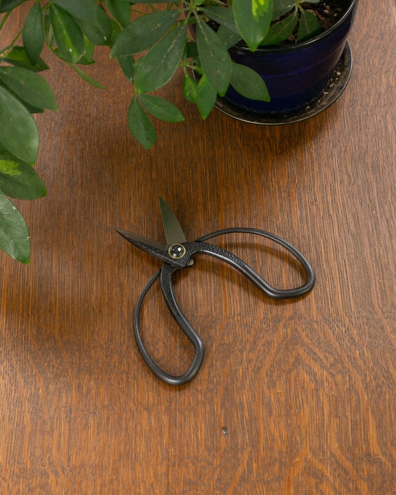 Tanabe Hasami, Japanese Gardening Scissors, Black - Image 2