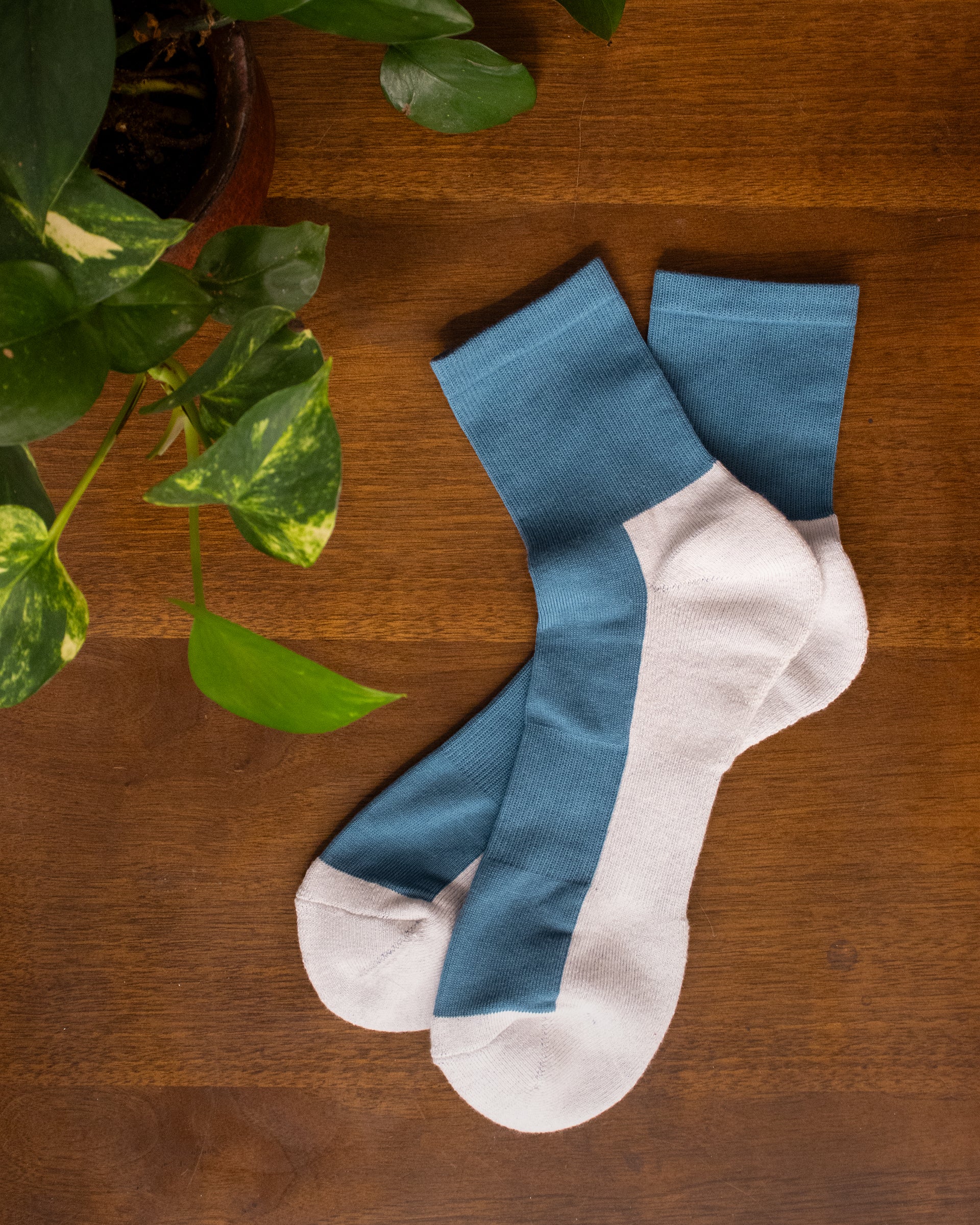 Knitwin, Crew Walking Socks, Cotton Cashmere, Sampo Lake Blue