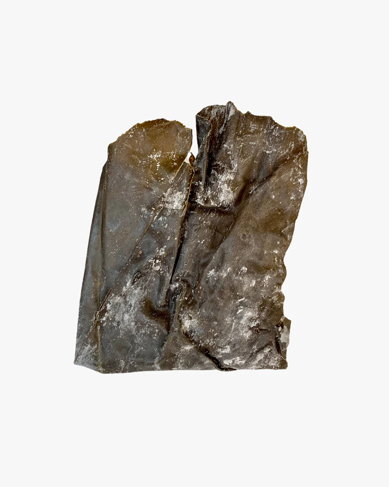 Ocean's Balance, Organic Whole Leaf Kombu - 1oz - Image 2