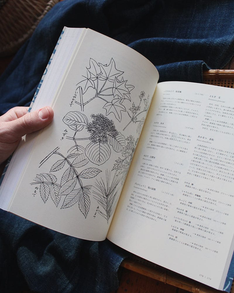 JPN: Plant Dyeing - Katazome Color Encyclopedia - Image 6