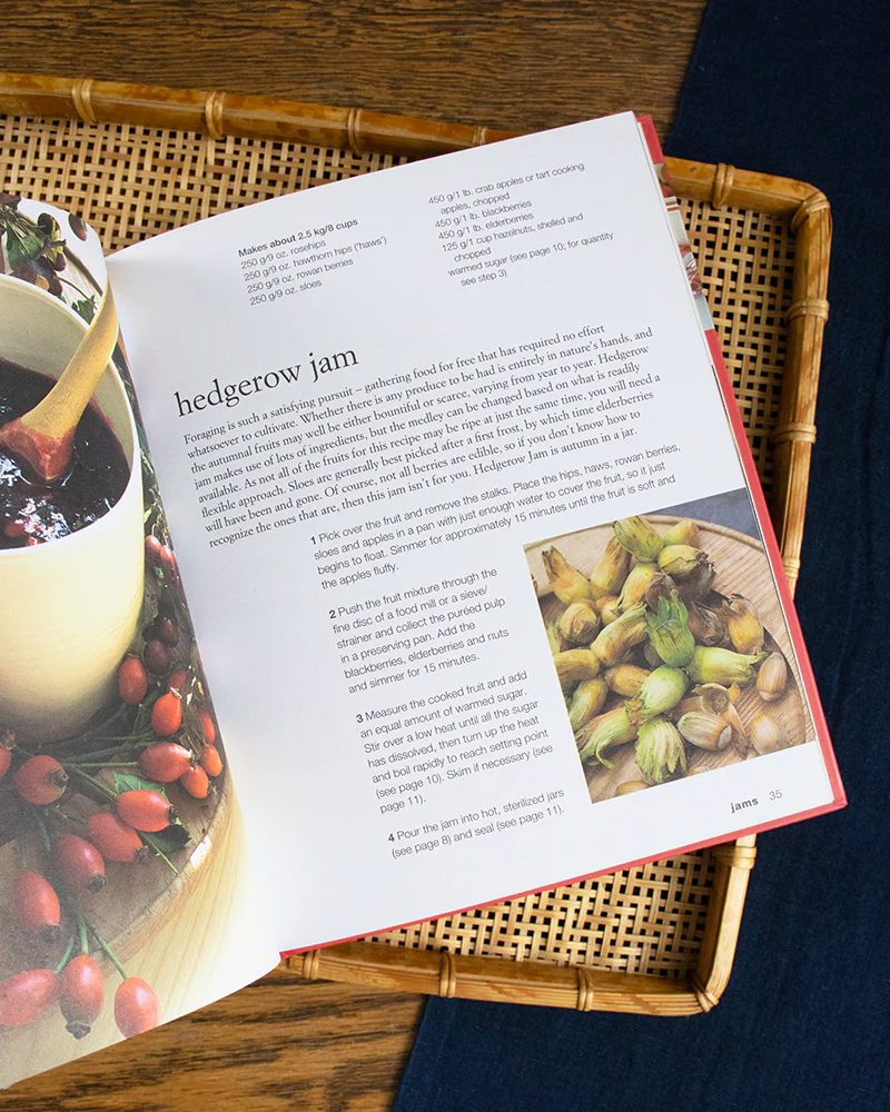 ENG: Preserves and Pickles by Gloria Nicol - Image 3