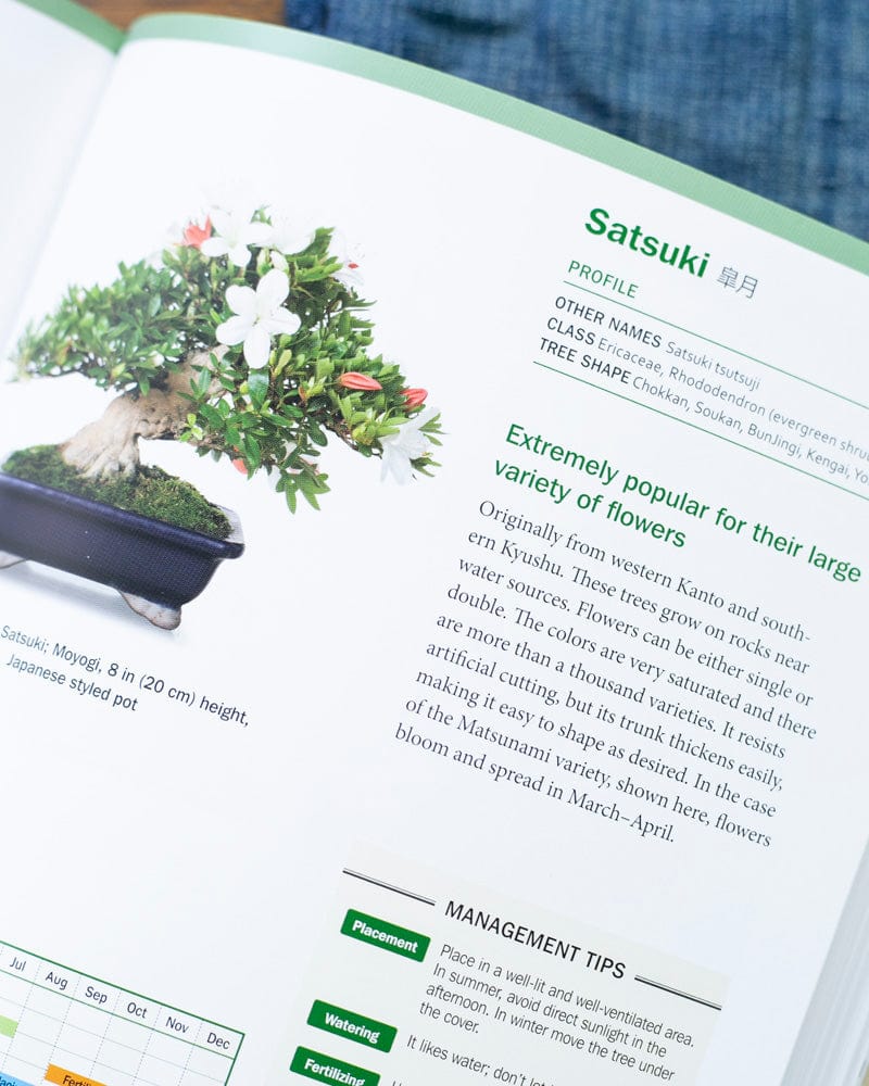 ENG: The Ultimate Bonsai Handbook - Image 4