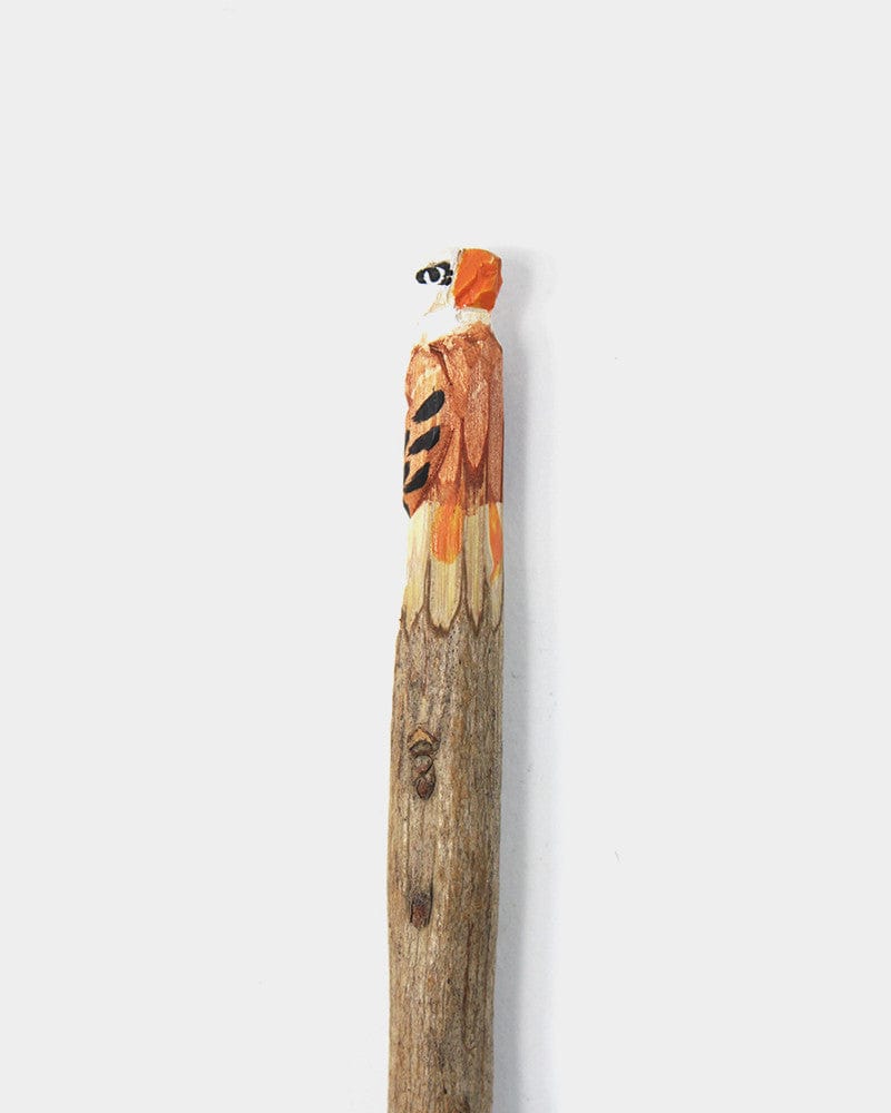 Wooden Animal Pen, Bald Eagle - Image 2